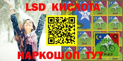 шишки Ставрополь