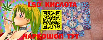 шишки Ставрополь