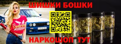 шишки Ставрополь
