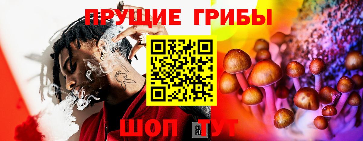 Псилоцибиновые грибы ЛСД Новоалтайск